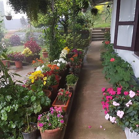 Rheinberg Town Haus Hotel Munnar Buitenkant foto