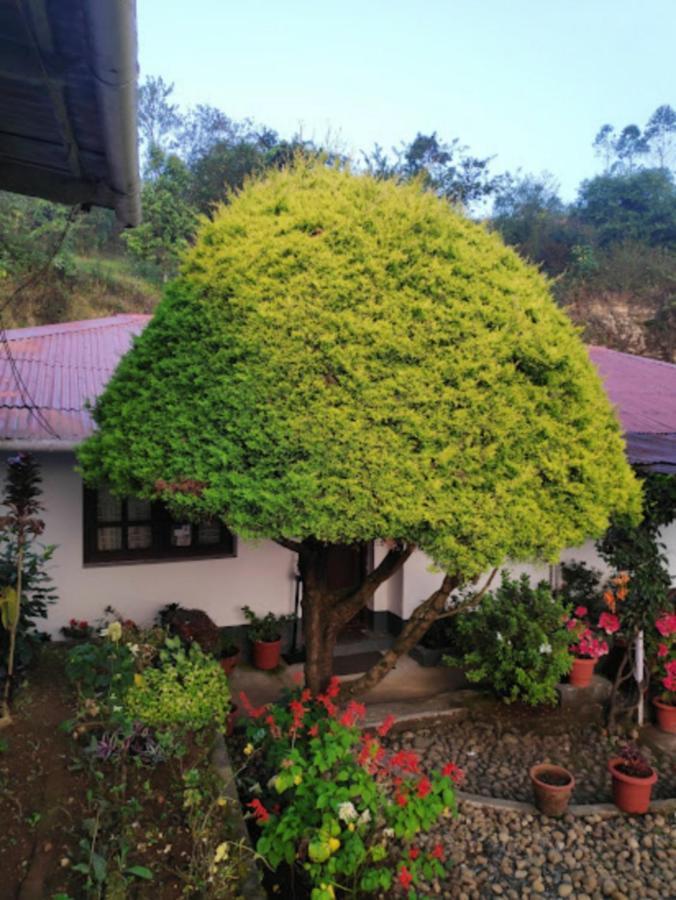 Rheinberg Town Haus Hotel Munnar Buitenkant foto