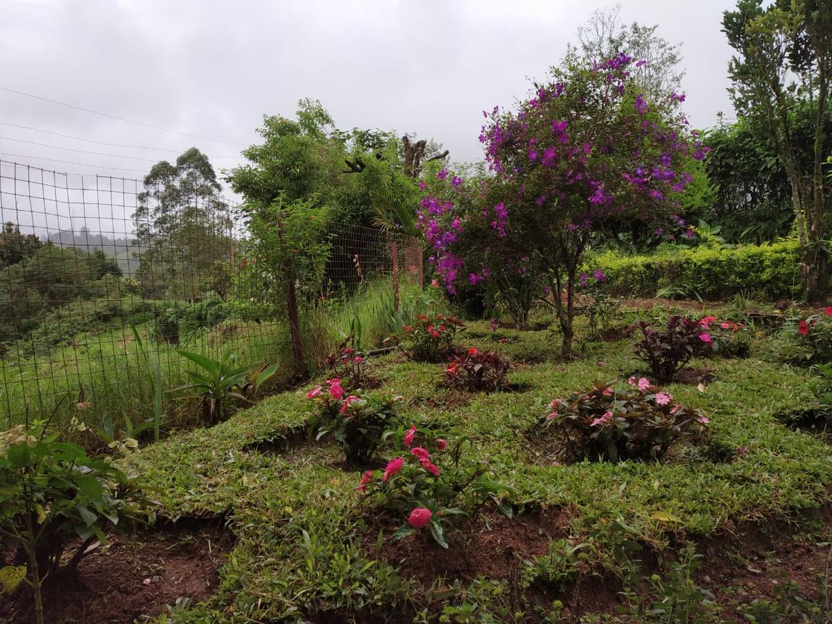 Rheinberg Town Haus Hotel Munnar Buitenkant foto